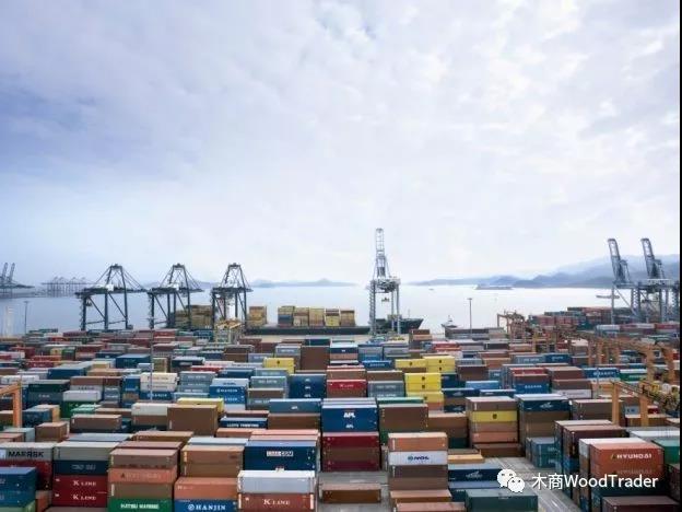 太倉港木材進(jìn)口量創(chuàng)歷史性記錄！(圖1)